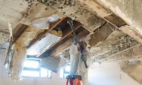 Mold Remediation for Rental Properties in Almont, MI